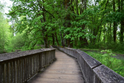 ARIS 360 - Where Everyday Is A Breath Of Fresh Air In The Evergreen State