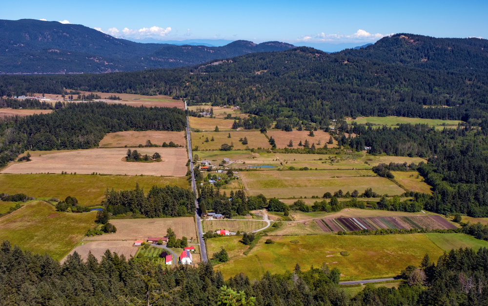 Land for Sale in Washington State by Owner A Guide for Hunters